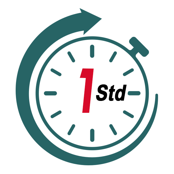 1-stunde-support